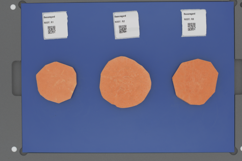 Digi Eye Sweet Potato Project: Predicting Sweet Potato Sensory Attributes using Image Analysis