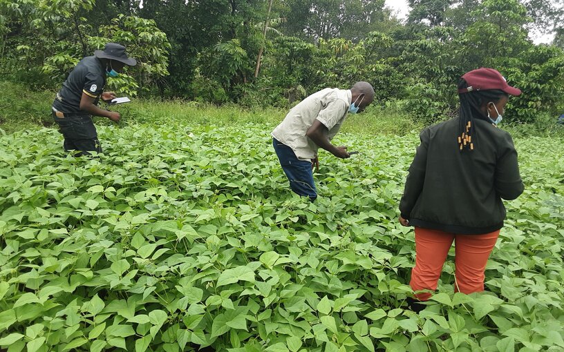 Development of Machine Learning Datasets for Crop Pest and Disease Diagnosis based  on Crop Imagery and Spectrometry Data